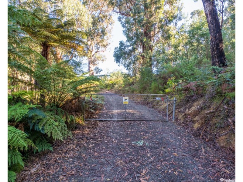 121 The Eagles Nest Road, Marysville VIC 3779