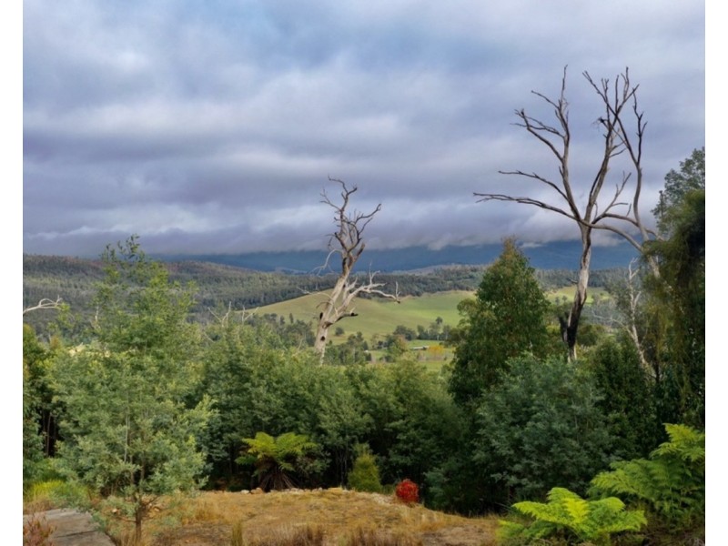 121 The Eagles Nest Road, Marysville VIC 3779
