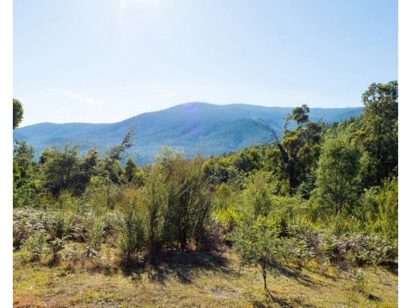 121 The Eagles Nest Road, Marysville VIC 3779