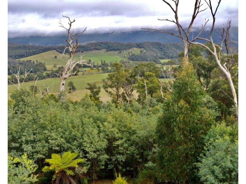 121 The Eagles Nest Road, Marysville VIC 3779