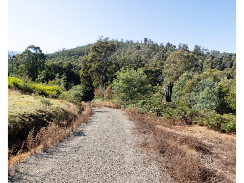 121 The Eagles Nest Road, Marysville VIC 3779