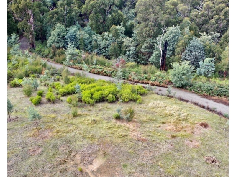 121 The Eagles Nest Road, Marysville VIC 3779
