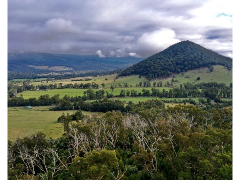 121 The Eagles Nest Road, Marysville VIC 3779