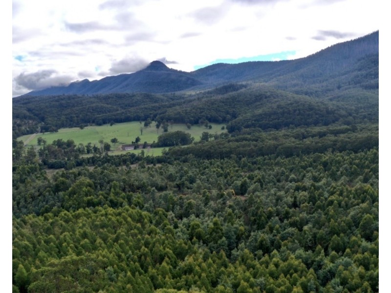 121 The Eagles Nest Road, Marysville VIC 3779