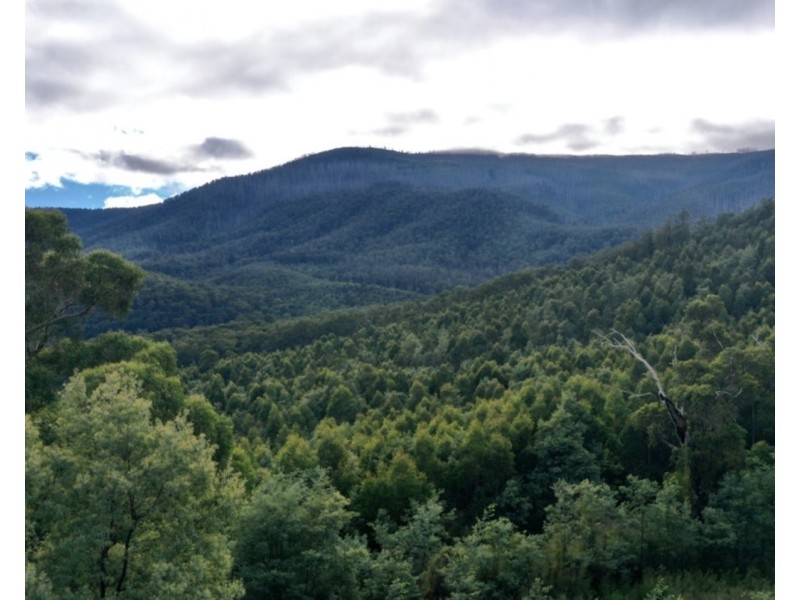121 The Eagles Nest Road, Marysville VIC 3779