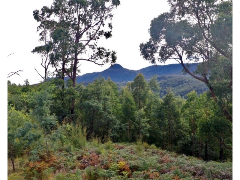 121 The Eagles Nest Road, Marysville VIC 3779