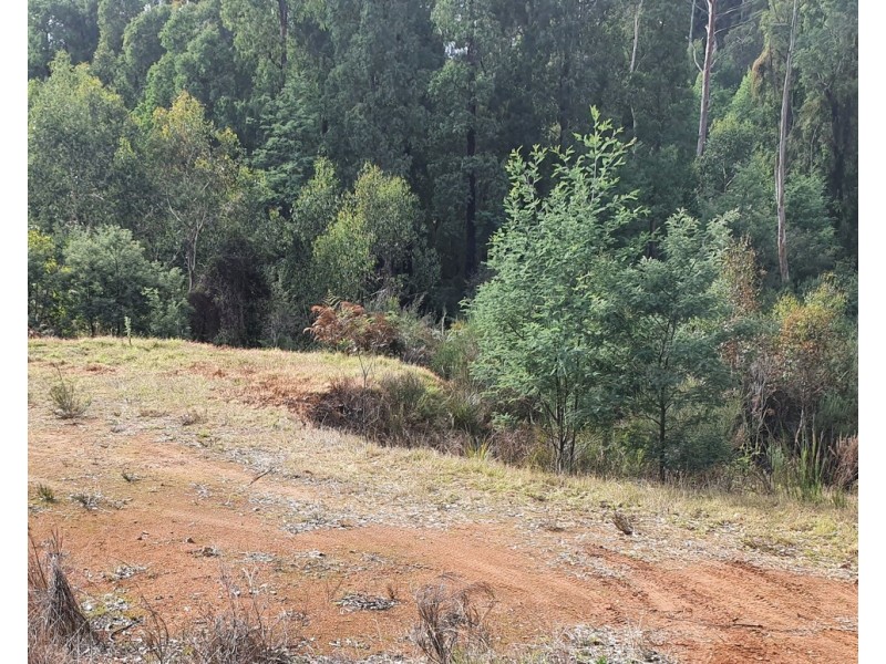 61 Falls Road, Marysville VIC 3779