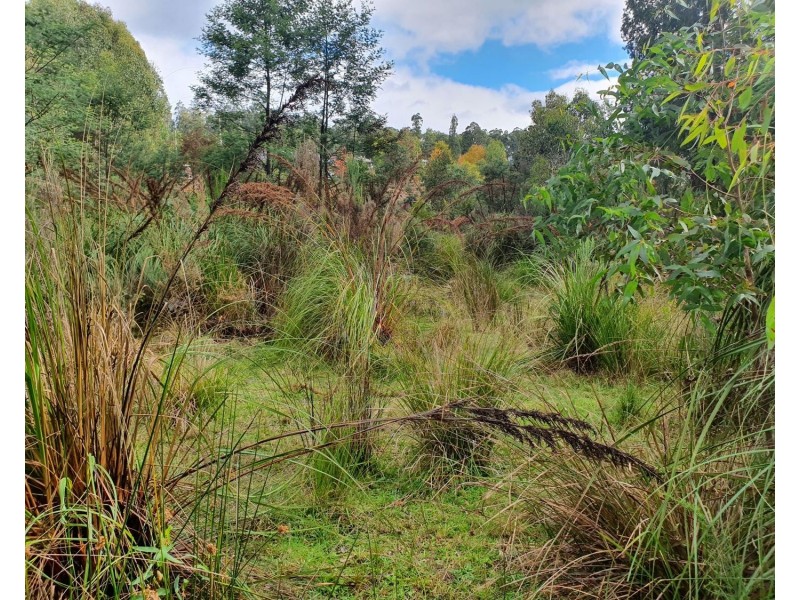 61 Falls Road, Marysville VIC 3779