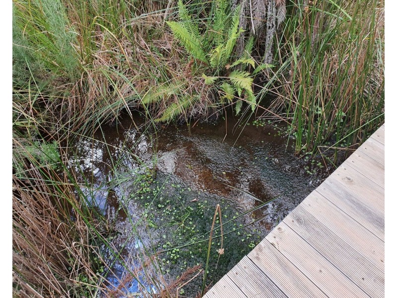 61 Falls Road, Marysville VIC 3779