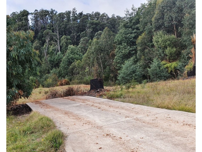 61 Falls Road, Marysville VIC 3779