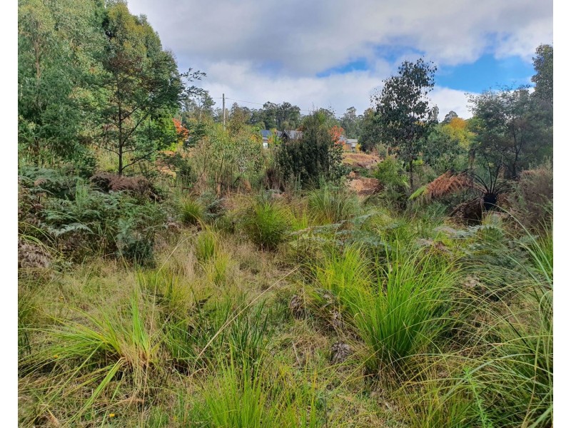 61 Falls Road, Marysville VIC 3779