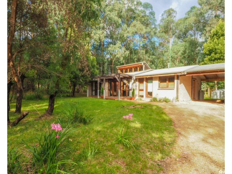549 Marysville Road, Narbethong VIC 3778