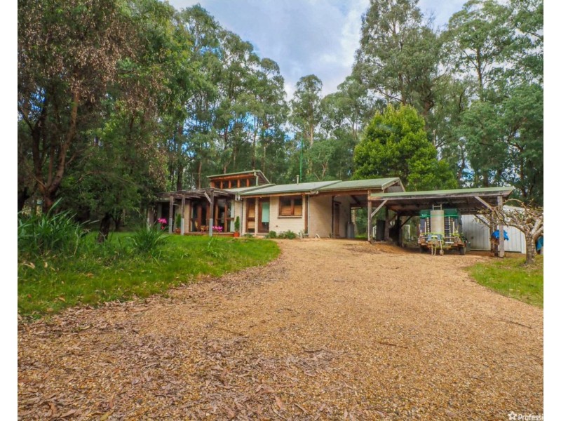 549 Marysville Road, Narbethong VIC 3778