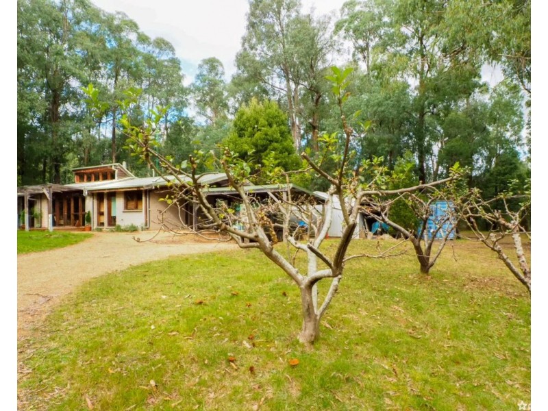 549 Marysville Road, Narbethong VIC 3778