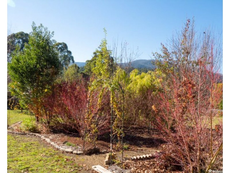 36 Sedgwick Street, Marysville VIC 3779