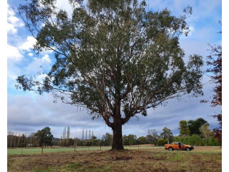 20 Dyes Lane, Buxton VIC 3711
