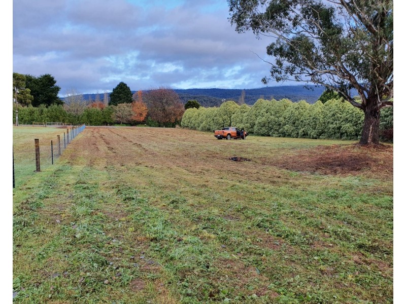 20 Dyes Lane, Buxton VIC 3711