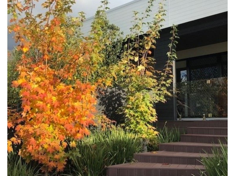 2/38 Falls Road, Marysville VIC 3779