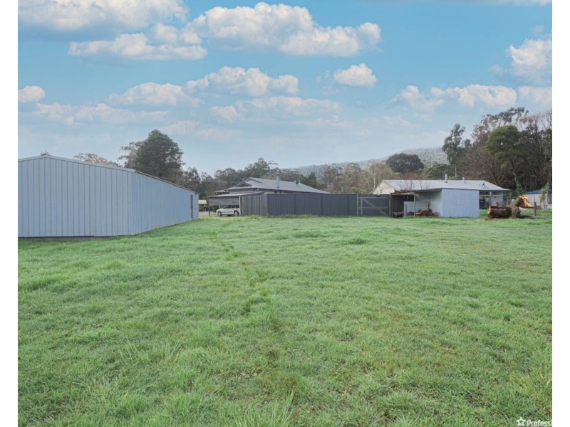 33 Mareeba Avenue, Buxton VIC 3711