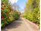 11a DARWIN Street, Marysville VIC 3779
