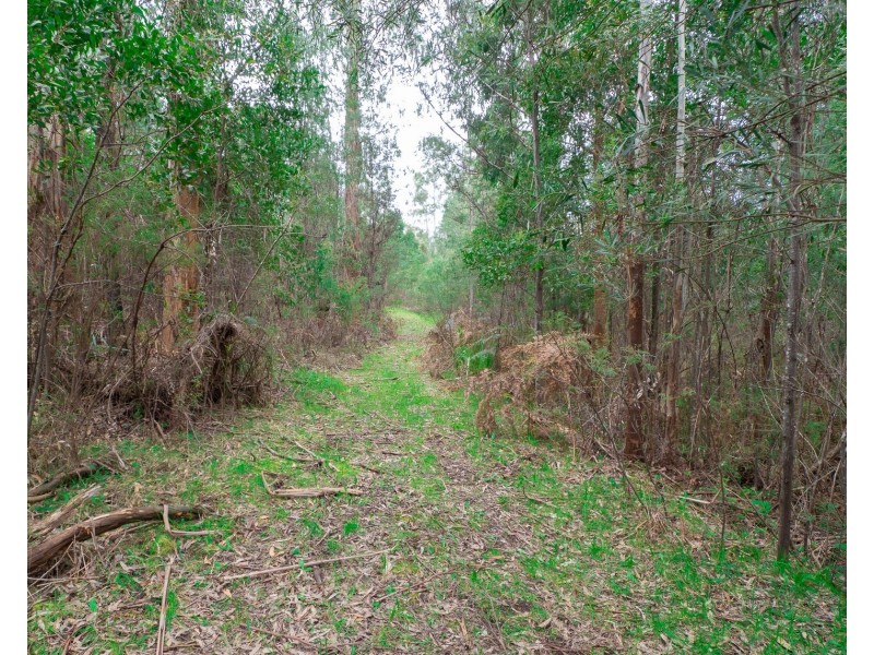 1232 Maroondah Highway, Narbethong VIC 3778