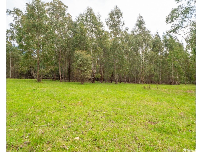 1232 Maroondah Highway, Narbethong VIC 3778