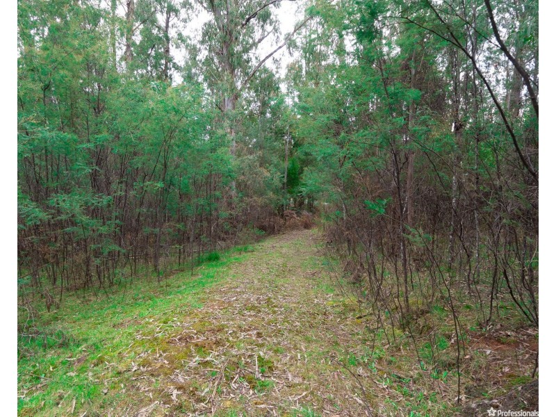 1232 Maroondah Highway, Narbethong VIC 3778