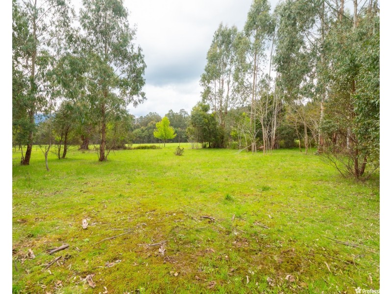 1232 Maroondah Highway, Narbethong VIC 3778