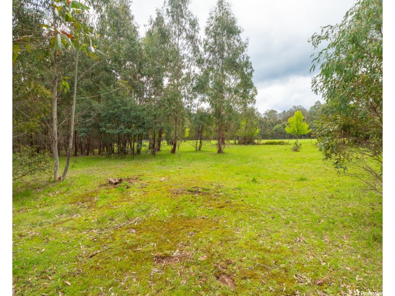 1232 Maroondah Highway, Narbethong VIC 3778