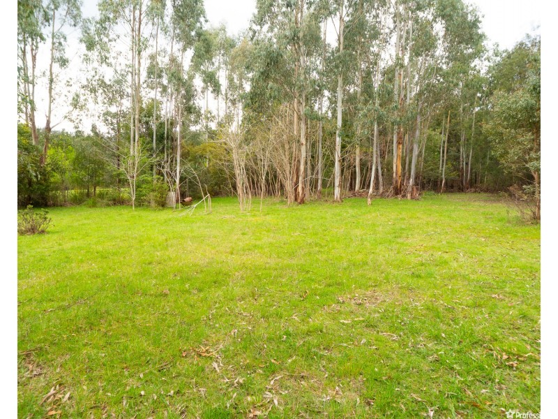 1232 Maroondah Highway, Narbethong VIC 3778