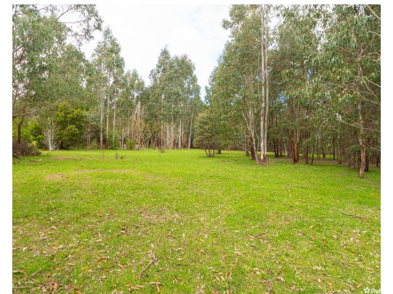 1232 Maroondah Highway, Narbethong VIC 3778