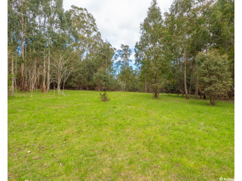 1232 Maroondah Highway, Narbethong VIC 3778