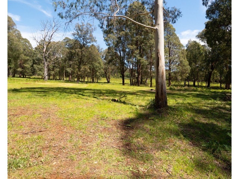 159 Manby Road, Narbethong VIC 3778