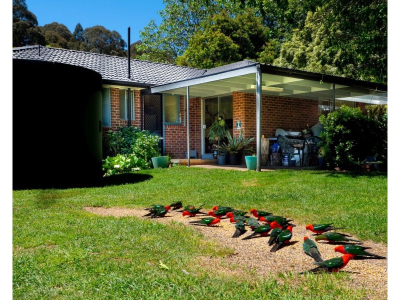 159 Manby Road, Narbethong VIC 3778