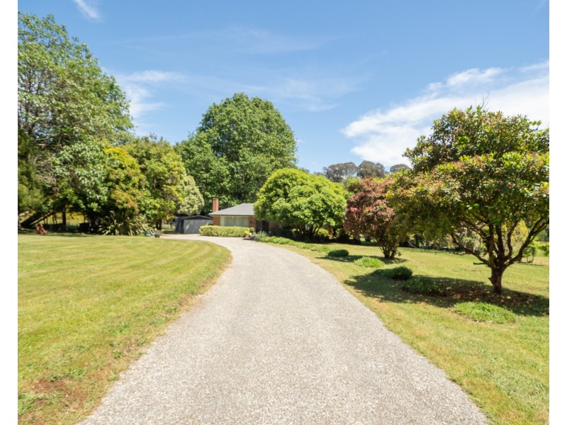 159 Manby Road, Narbethong VIC 3778