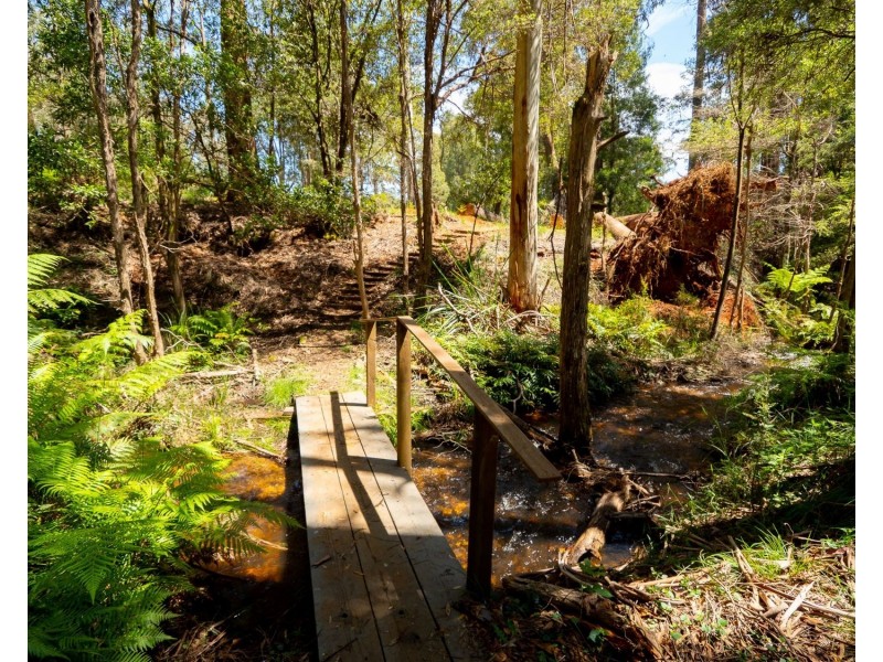 159 Manby Road, Narbethong VIC 3778