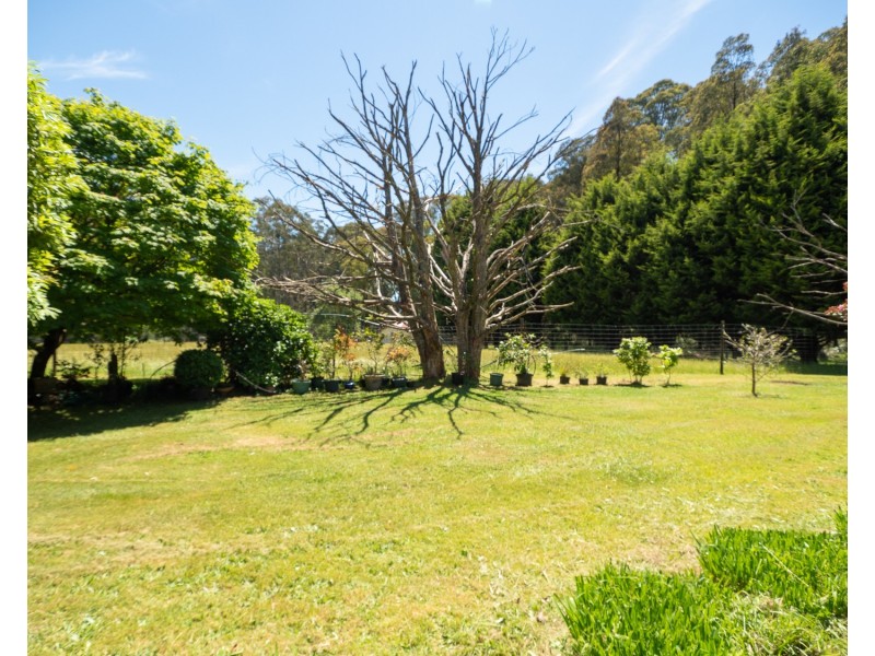 159 Manby Road, Narbethong VIC 3778