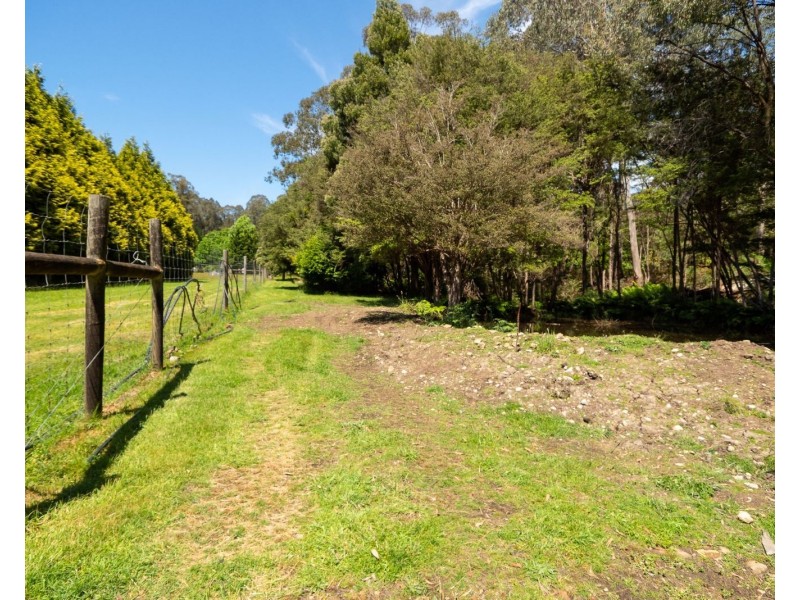 159 Manby Road, Narbethong VIC 3778