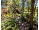 159 Manby Road, Narbethong VIC 3778
