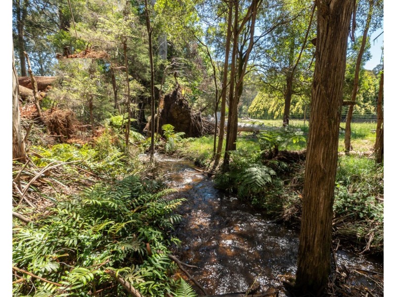 159 Manby Road, Narbethong VIC 3778