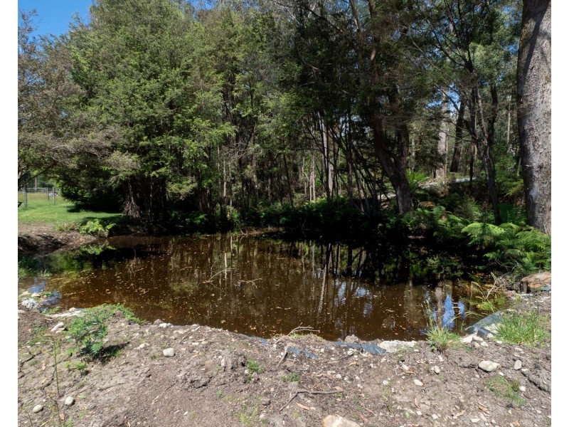 159 Manby Road, Narbethong VIC 3778