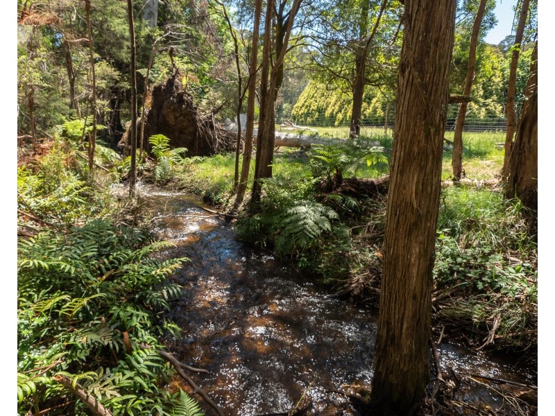 159 Manby Road, Narbethong VIC 3778