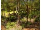 159 Manby Road, Narbethong VIC 3778