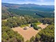 159 Manby Road, Narbethong VIC 3778