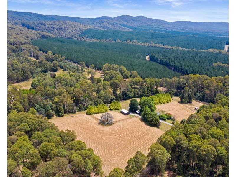 159 Manby Road, Narbethong VIC 3778