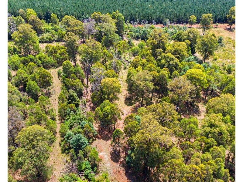 159 Manby Road, Narbethong VIC 3778