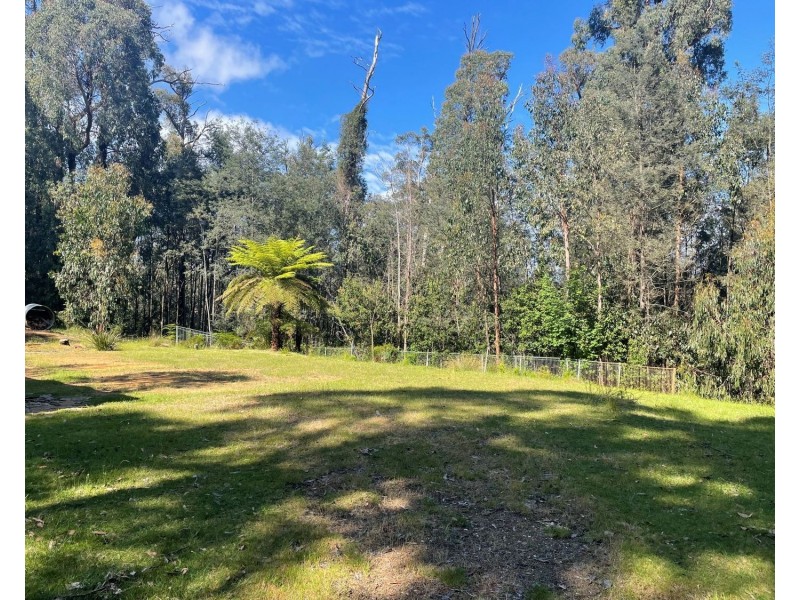 36 Woods Point Road, Marysville VIC 3779