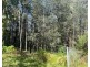 36 Woods Point Road, Marysville VIC 3779
