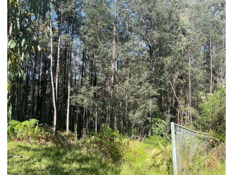 36 Woods Point Road, Marysville VIC 3779