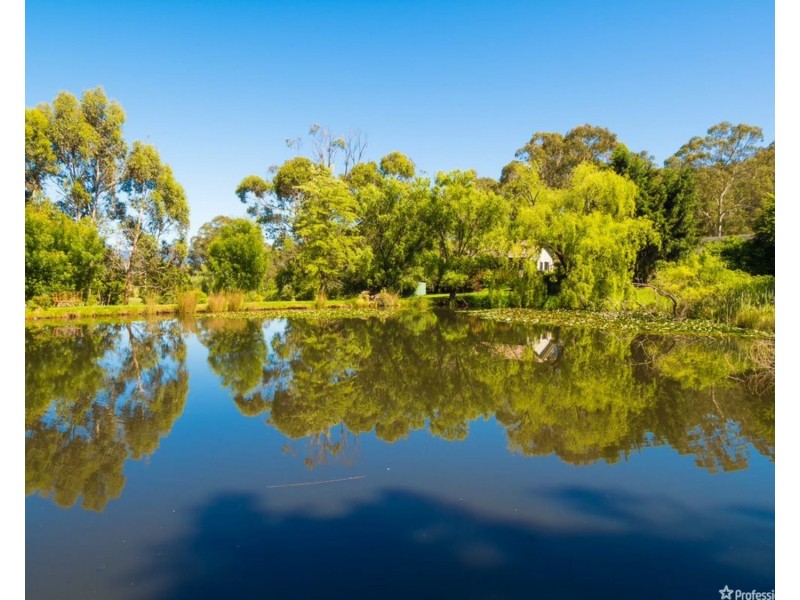36 Maryton Lane, Marysville VIC 3779